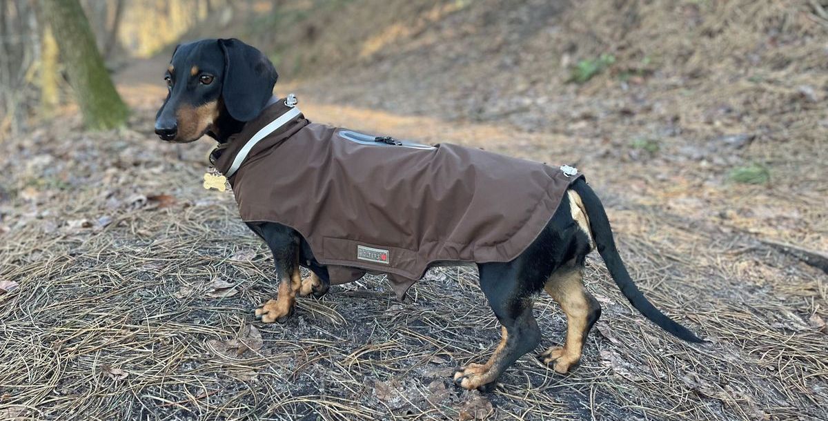 Advertorial über die Hundejacken von Wolters