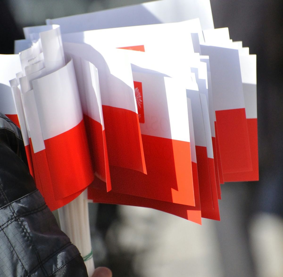 Polnische Pressemeldung in Deutschland bestellen